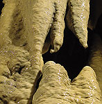 Foto Grotte di Equi